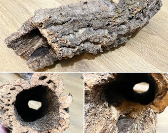 Korkröhre, natürliche Korkröhre, Natürliche getrocknete Dekoration, Terrariendekor, Vivariumdekor, Reptile Terrarium, einzigartige Korkröhre mit einem Loch
