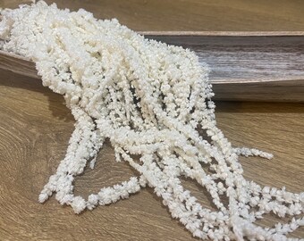 May include: A bunch of white dried flowers, also known as bunny tails, arranged in a cascading style. The flowers are soft and fluffy, and they have a delicate, feathery texture.