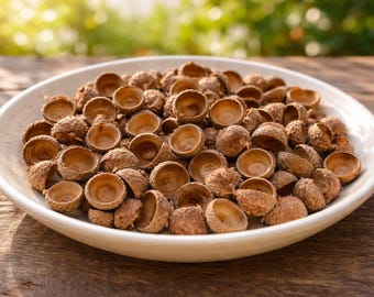200 Natural Acorn Caps, Acorn Tops Hats, Christmas Decorations, Natural, Acorn decor, Quality Craft Supplies Decorations, Dried Acorn Hats