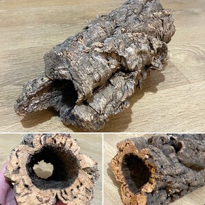 以下が含まれることがあります： 中がくり抜かれた天然のコルク樹皮の丸太。爬虫類の隠れ家やテラリウムの装飾として最適です。