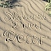Natural Dried Decor
