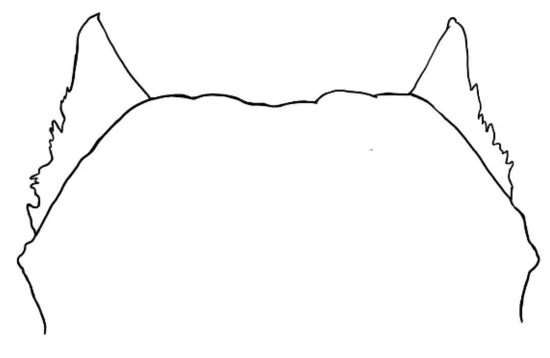 Pit Bull Outline 1 - Etsy