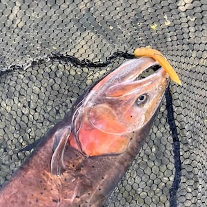 Replacement Tubes 3" Mini