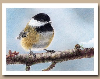 Carbonero de cabeza negra (Juego de 4 tarjetas de felicitación en blanco)