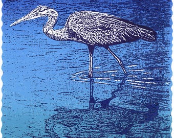 Garza azul grande (grabado en madera)
