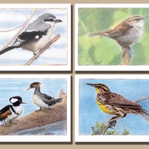 Wild Birds Collection Four (lot de 4 cartes de voeux vierges)