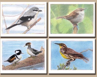 Colección de aves silvestres cuatro (juego de 4 tarjetas de felicitación en blanco)