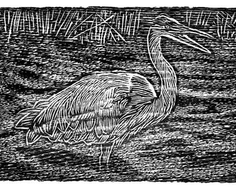 Gran garza azul (grabado en madera)