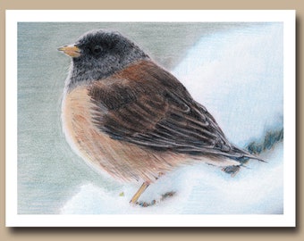 Junco de ojos oscuros (juego de 4 tarjetas de felicitación en blanco)