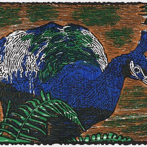 Peacock (Woodcut, Four Colors)