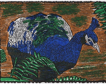 Pavo real (grabado en madera, cuatro colores)