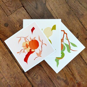 Fruits Illustrations - 3 Pack - Poster / Square Art Print / Gift