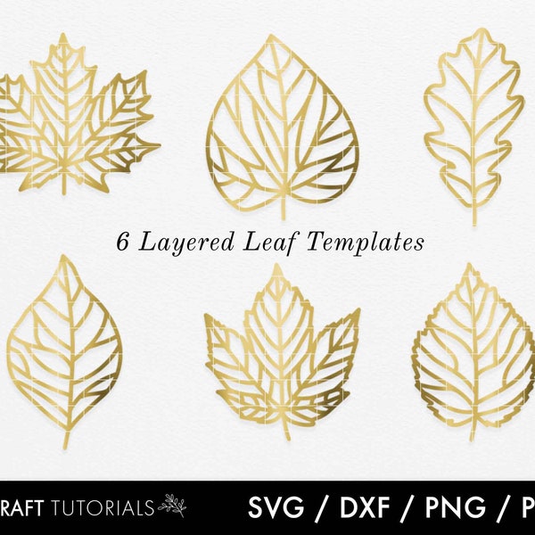 Leaf svg, Layered Leaf svg, Leaves svg, Fall Leaf svg, Autumn leaf svg, skeleton leaf svg, leaf clipart, lasercut svg, leaf svg, plants svg