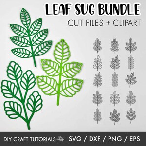May include: A digital download of leaf SVG cut files and clipart. The image shows three different leaf designs in green, with a variety of smaller leaf outlines in black.