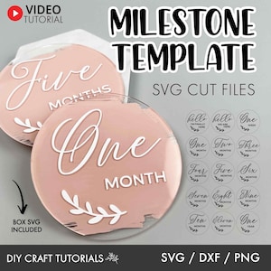 Monthly milestone svg, Milestone discs svg, Baby Milestone SVG, Baby milestone rounds svg, baby announcement svg, newborn sign svg, baby svg