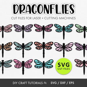 May include: A collection of dragonfly cut files for laser and cutting machines. The image features various dragonfly designs in shades of pink, purple, blue, green, and orange. The text "DRAGONFLIES" and "SVG CUT FILES" are also visible.