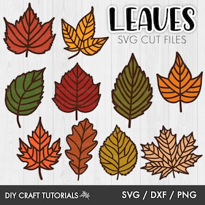 Autumn Leaves svg, Leaf svg, leaves svg, Fall Leaves svg, Fall leaf svg, leaf clipart, fall svg, laser cut file, glowforge svg, cricut svg