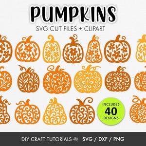 Pumpkin SVG Bundle: 40 Ornate Pumpkin Cut Files for Cricut & Glowforge | Floral Fall Pumpkin SVGs | Autumn Laser Cut and Clipart Designs