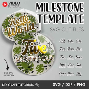 Baby Milestone SVG, Milestone discs svg, Monthly milestone svg, Acrylic Milestone svg, Acrylic Milestone Discs, cricut svg, monstera svg