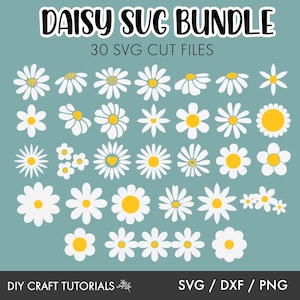 Daisy Svg, Daisy svg bundle, Flower svg bundle, Groovy Flower svg, Floral svg, Daisies svg, Daisy Flower, daisies tumbler wrap, cricut svg