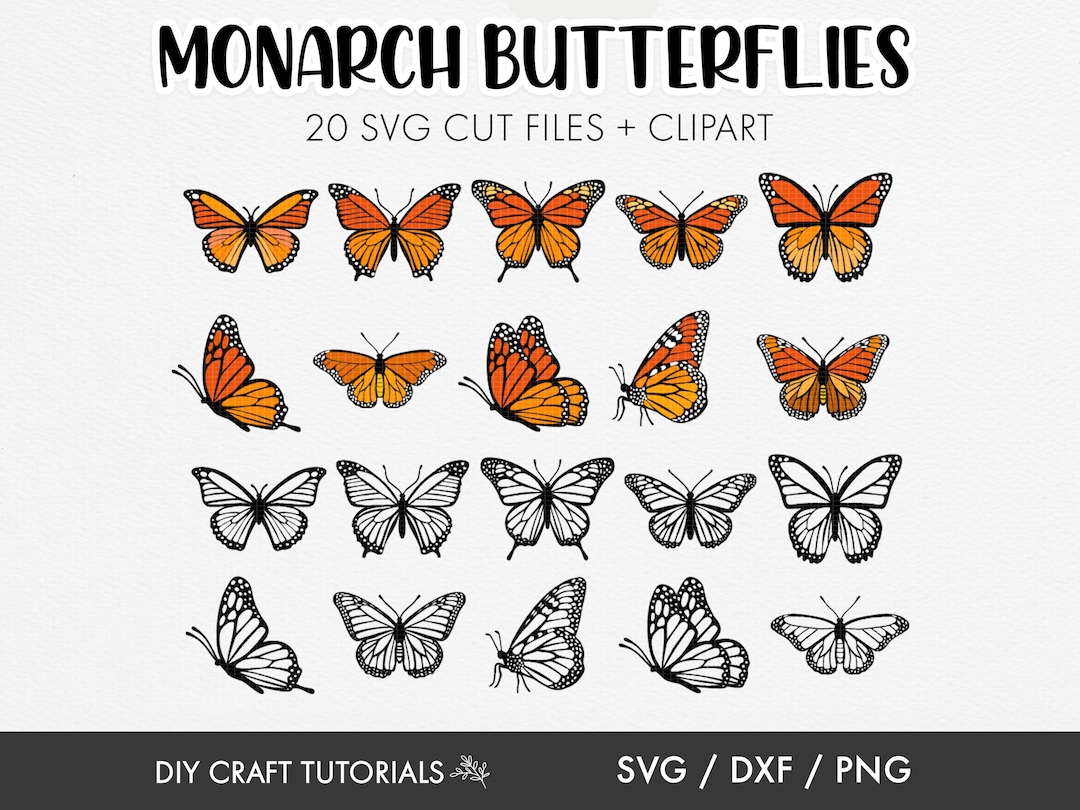 Monarch Butterfly Svg, Butterfly SVG, Layered Butterfly Svg, Butterfly