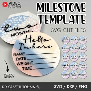 Milestone discs svg, Baby Milestone SVG, monthly milestone svg, Baby milestone rounds svg, baby announcement svg, baby svg, newborn sign svg