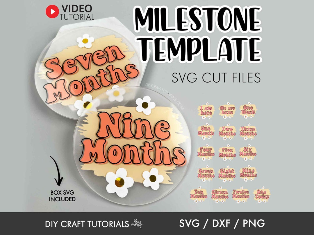 Daisy Baby Milestone Discs SVG Template: Retro Boho First Year Cut ...