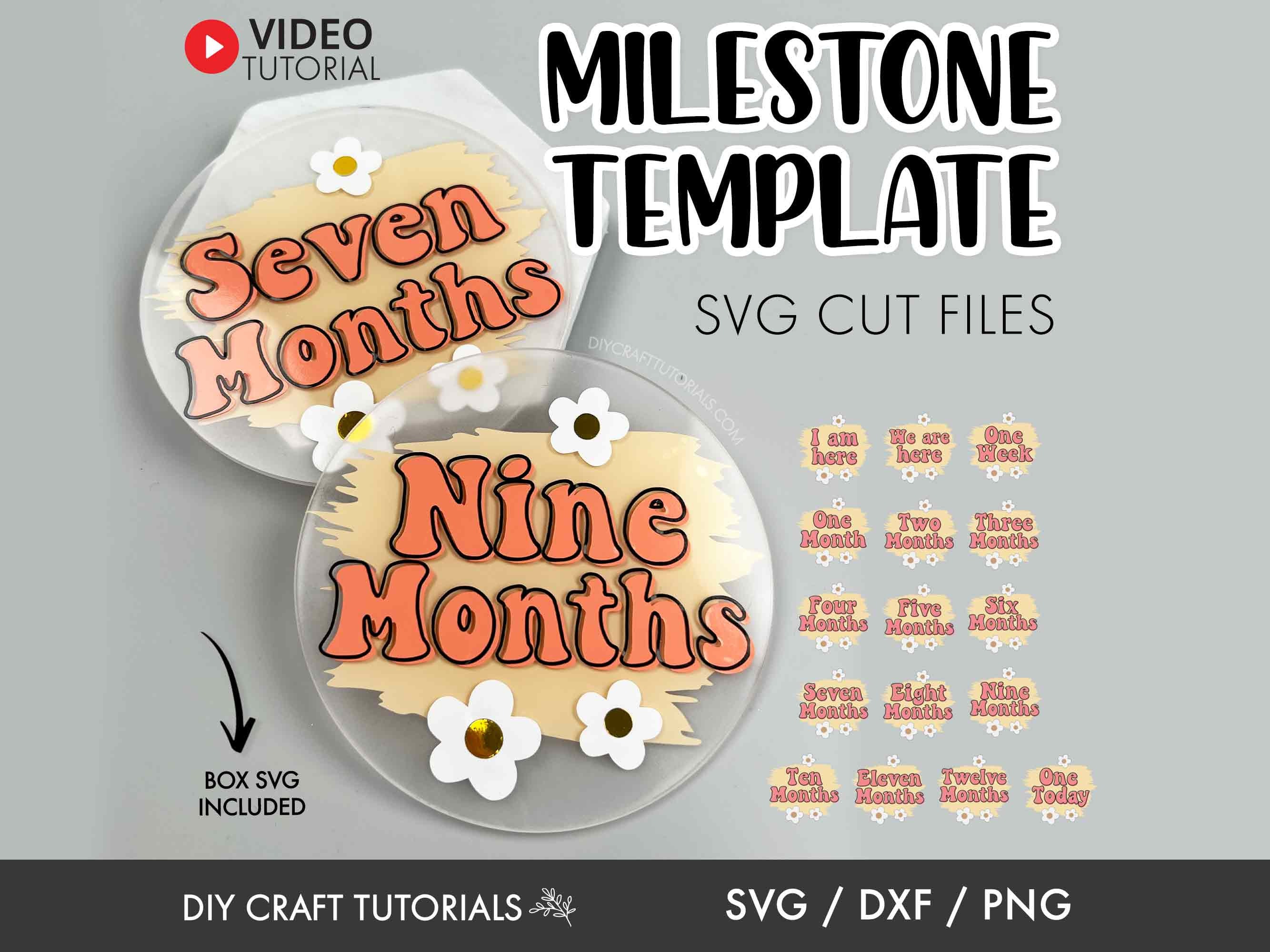 Daisy Baby Milestone Discs SVG Template: Retro Boho First Year Cut ...