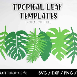 Pode incluir: Um conjunto de cinco arquivos de corte digital para modelos de folhas tropicais. Os arquivos incluem uma folha de monstera, uma folha de palmeira e três folhas de samambaia. Os arquivos estão disponíveis nos formatos SVG, DXF, PNG e PDF.