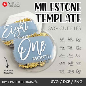 Baby Milestone SVG, Milestone discs svg, Baby milestone rounds svg, monthly milestone svg, baby announcement svg, baby svg, newborn sign svg