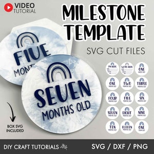 Baby Milestone SVG, Milestone discs svg, Baby milestone rounds svg, monthly milestone svg, baby svg, baby announcement svg, newborn sign svg
