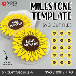 Milestone discs svg, Baby Milestone SVG, Baby milestone rounds svg, monthly milestone svg, baby announcement svg, newborn sign svg, baby svg