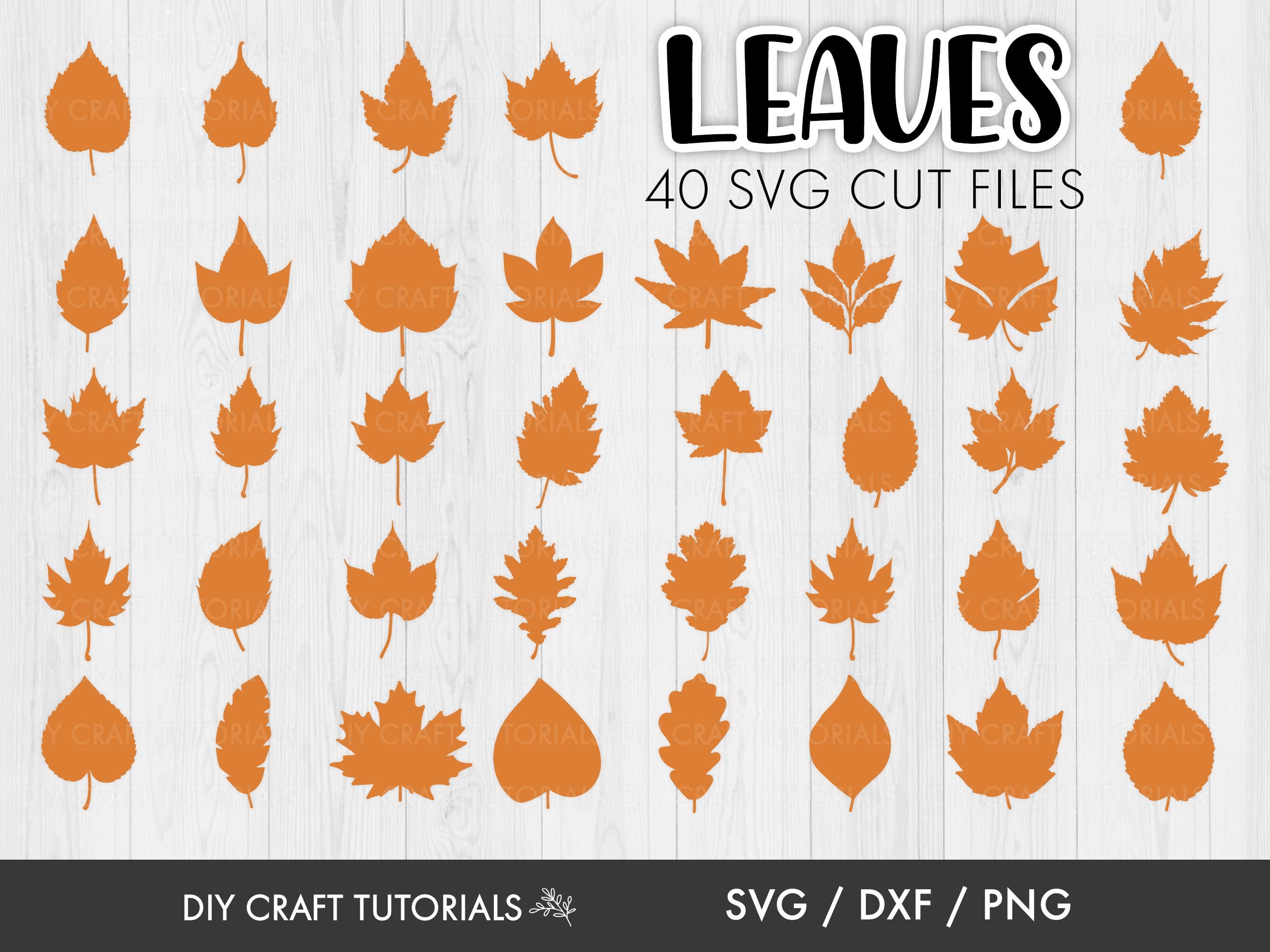 Autumn Leaf SVG Bundle: 40x Fall Silhouette Cut Files - Etsy