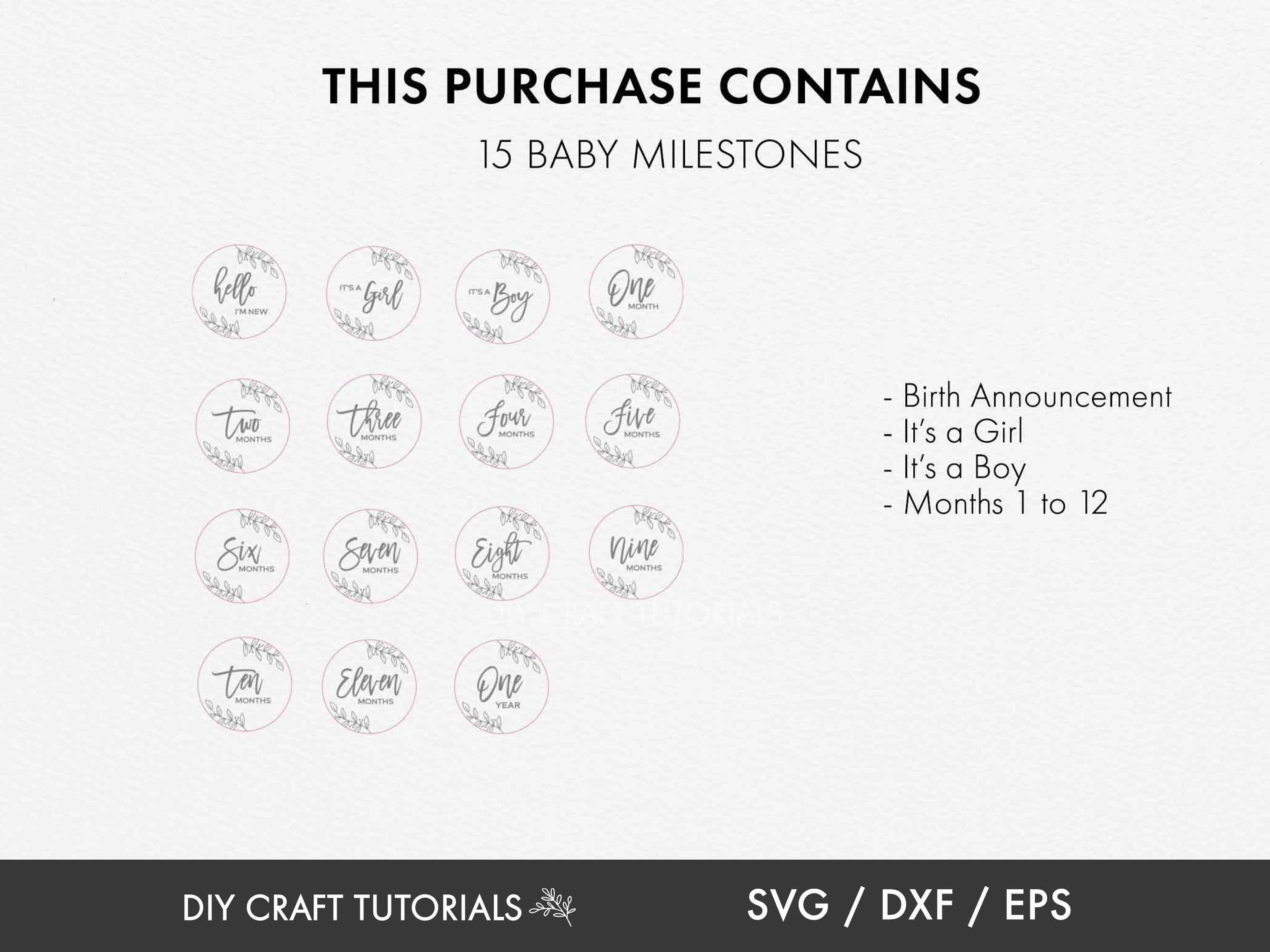 Floral Baby Milestone Discs SVG: Laser Cut File - Etsy