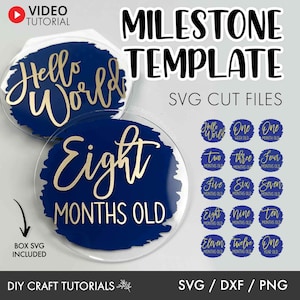 Baby Milestone Svg, Monthly milestone svg, Milestone discs svg, Baby Milestone SVG, Baby Milestone Disc, Acrylic Milestone svg