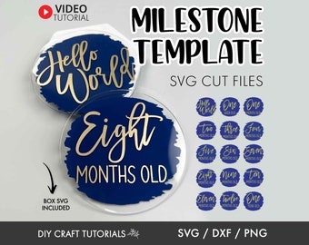 Baby Milestone Discs SVG Bundle: First Year & Gift Box Cut Files