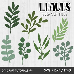 K&ouml;nnte beinhalten: Satz mit sechs verschiedenen Blatt-SVG-Schnittdateien zum Basteln. Die Bl&auml;tter sind in verschiedenen Gr&uuml;nt&ouml;nen gehalten und eignen sich perfekt f&uuml;r die Erstellung von Projekten wie Karten, Einladungen und Scrapbook-Seiten.