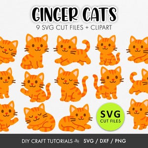 May include: A selection of cartoon ginger cats in orange, in different poses. The image includes the text "GINGER CATS" and "9 SVG CUT FILES + CLIPART". Also included is the text "SVG CUT FILES" and "DIY CRAFT TUTORIALS SVG / DXF / PNG".