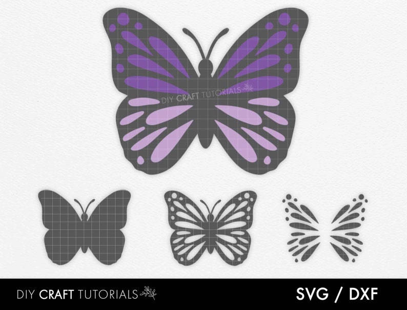 Download Layered Butterfly SVG butterfly vector elegant butterfly ...
