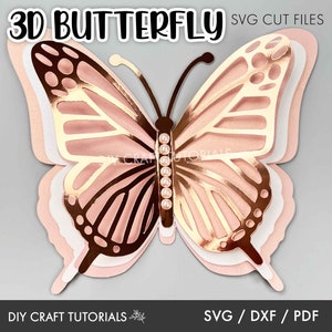 3D Butterfly svg, Butterfly SVG, Butterfly template, Layered Butterfly svg,  Butterfly wall decor, Svg files for cricut, svg bundle