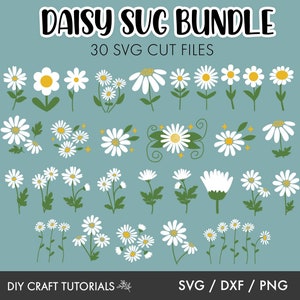Daisy Svg, Daisy svg bundle, Daisies svg, Flower svg bundle, Groovy Flower svg, Floral svg, Daisy Flower, daisies tumbler wrap, cricut svg