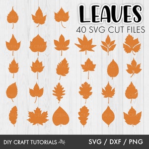 Folhas de outono svg, Folha svg, Folhas de outono svg, Folha de outono svg, folhas svg, clipart de folhas, outono svg, arquivo de corte a laser, glowforge svg, cricut svg