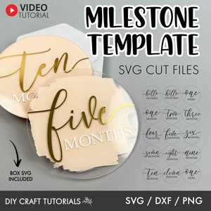 Milestone discs svg, Baby Milestone SVG, baby announcement svg, Baby milestone rounds svg, monthly milestone svg, newborn sign svg, baby svg