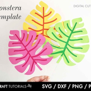 Tropical leaf svg, svg file for cricut, Monstera svg, monstera clipart, leaf svg, tropical leaf printable, jungle party svg, laser cut file