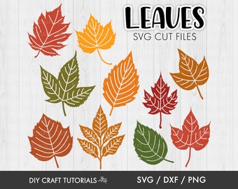 Autumn Leaves svg, Fall Leaves svg, leaf svg, leaf clipart, fall svg, laser cut file, Paper flower leaves, glowforge svg, cricut svg