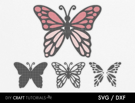 Download Butterfly Svg Butterfly Vector Vinyl Decal Butterfly Svg Etsy