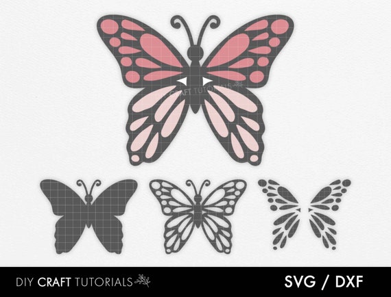 Free Free 262 Butterfly Decal Svg SVG PNG EPS DXF File