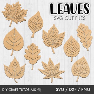 Hoja svg, Hojas de otoño svg, Hoja de otoño svg, imágenes prediseñadas de hoja, otoño svg, archivo cortado con láser, Hoja de otoño svg, Glowforge svg, cricut svg, planta svg