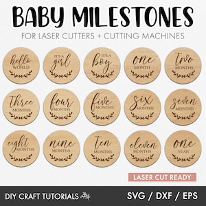 Baby Milestone SVG, Baby Milestone Discs Svg, Wooden Baby Milestone discs, monthly milestone svg, glowforge, xTool, laser cut file, cricut