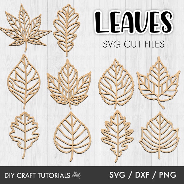 Leaf svg, leaves svg, Fall Leaves svg, Fall leaf svg, leaf clipart, fall svg, laser cut file, Autumn leaves svg, glowforge svg, cricut svg
